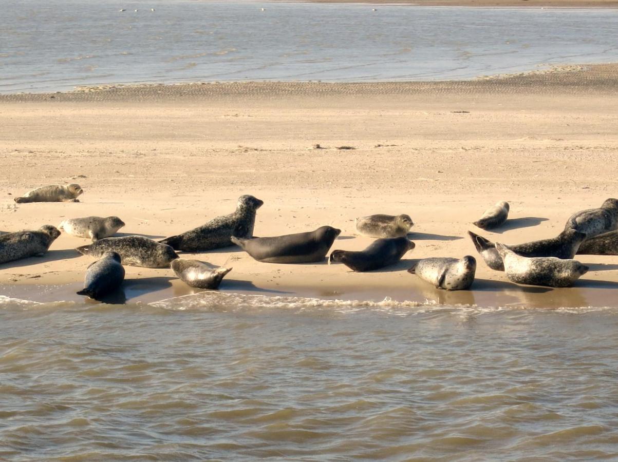 Huus Wattenmeer In Nessmersiel An Der Nordsee Дорнум Экстерьер фото